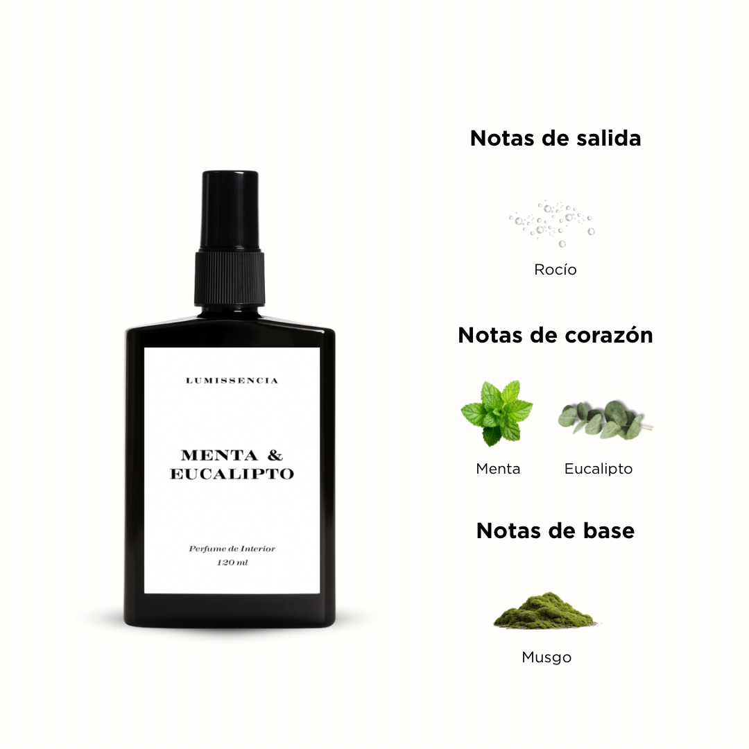 Menta & Eucalipto